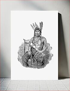 Πίνακας, Native American man from The History of Benton County, Iowa published by Western Historical Co. (1878)