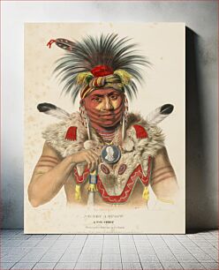 Πίνακας, NE-SOU-A-QUOIT. A FOX CHIEF., from History of the Indian Tribes of North America