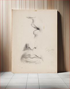 Πίνακας, Nenä ja huulet sivulta ja edestä. merkitty: d 3 jan 1866., 1863 - 1866part of a sketchbook, by Albert Edelfelt