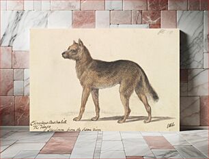 Πίνακας, New Holland Dingo by Charles Hamilton Smith