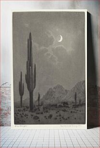 Πίνακας, New Moon and Evening Star (ca. 1923) by George Elbert Burr