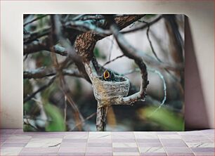 Πίνακας, Newborn Bird in Nest Νεογέννητο Πουλί στη Φωλιά