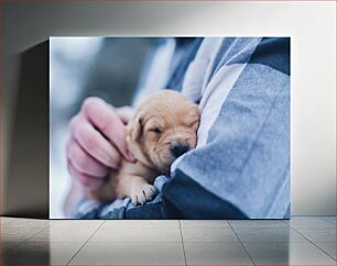Πίνακας, Newborn Puppy in Arms Νεογέννητο κουτάβι στην αγκαλιά