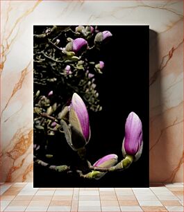 Πίνακας, Night Blooming Magnolia Night Blooming Magnolia