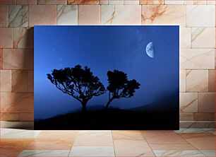 Πίνακας, Night Sky with Silhouetted Trees Νυχτερινός ουρανός με σιλουέτα δέντρα