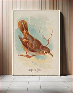 Πίνακας, Nightingale, from the Song Birds of the World series (N23) for Allen & Ginter Cigarettes issued by Allen & Ginter, George S. Harris & Sons (lithographer)