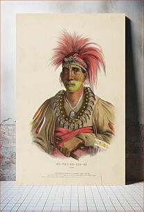 Πίνακας, NO-WAY-KE-SUG-GA. OTOE., from History of the Indian Tribes of North America