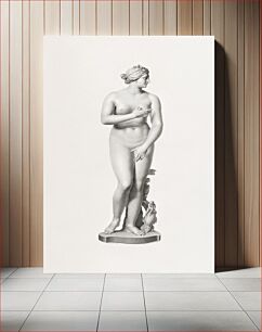 Πίνακας, Nude Greek woman marble statue