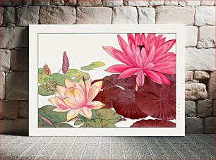 Πίνακας, Nymphaea lotus, Japanese woodblock art