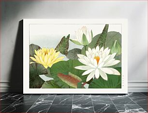 Πίνακας, Nymphaea lotus, Japanese woodblock art