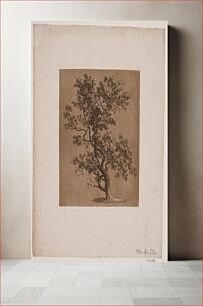 Πίνακας, Oak tree by Søren Henrik Petersen