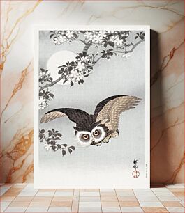 Πίνακας, Ohara Koson's Scops Owl, Cherry Blossoms, and Moon (1926) woodblock print