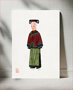 Πίνακας, Old lady in light green embroidered silk costume illustration