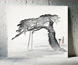 Πίνακας, Old Pine Tree (1900–1910) by Ogata Gekko