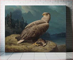 Πίνακας, Old white-tailed sea eagle, 1871, by Ferdinand von Wright