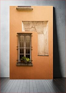 Πίνακας, Old Window with Plants Παλιό Παράθυρο με Φυτά