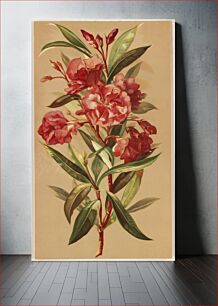 Πίνακας, Oleander blossoms