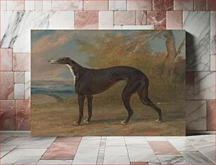 Πίνακας, One of George Lane Fox's Winning Greyhounds: the Black and White Greyhound Bitch, Juno, also called Elizabeth