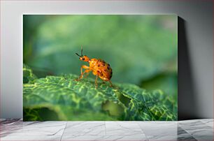 Πίνακας, Orange Beetle on Leaf Πορτοκαλί σκαθάρι σε φύλλο