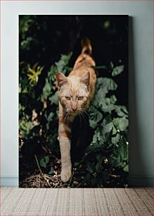 Πίνακας, Orange Cat in the Garden Πορτοκαλί Γάτα στον Κήπο