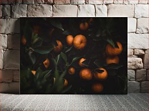 Πίνακας, Orange Fruits on a Tree Πορτοκαλιές σε ένα δέντρο