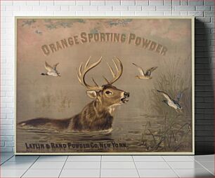 Πίνακας, Orange sporting powder. Laflin & Rand Powder Co., New York. c1873