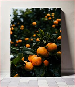 Πίνακας, Orange Tree Πορτοκαλιά