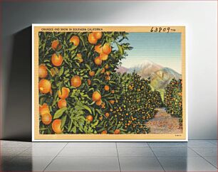 Πίνακας, Oranges and Snow in Southern California