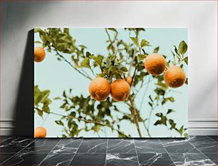 Πίνακας, Oranges on a Tree Πορτοκάλια σε ένα δέντρο