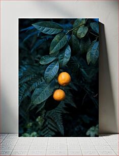 Πίνακας, Oranges on Branch Πορτοκάλια στο κλαδί