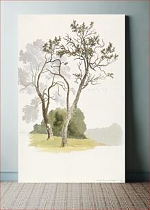 Πίνακας, Orchard Trees at Under River near Knole (1826), vintage nature illustration by Robert Hills