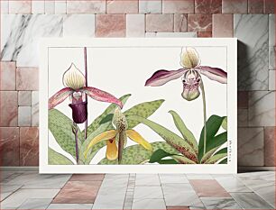 Πίνακας, Orchid flower, Japanese woodblock art