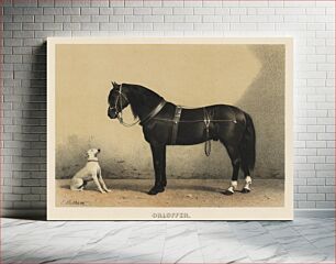 Πίνακας, Orloffer (Orloff Horse) by Emil Volkers (1880), an illustration of a black horse and a white dog