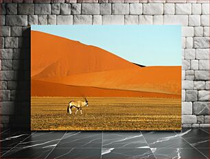 Πίνακας, Oryx in Desert Landscape Oryx σε έρημο τοπίο