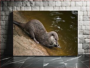 Πίνακας, Otter Eating a Fish Otter που τρώει ένα ψάρι
