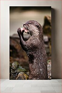 Πίνακας, Otter Eating Τρώγοντας βίδρα