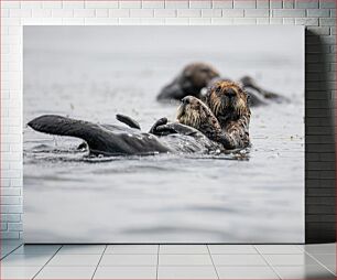 Πίνακας, Otters Embracing Otters Embracing