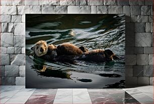 Πίνακας, Otters Swimming Together Ενυδρίδες Κολυμπούν Μαζί