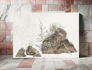 Πίνακας, Overgrown Rocks (ca. 1809–1812) by Joseph August Knip