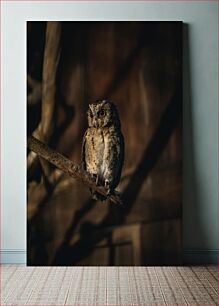 Πίνακας, Owl at Night Κουκουβάγια τη νύχτα