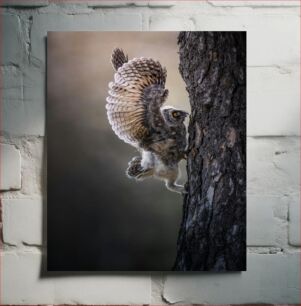 Πίνακας, Owl Climbing a Tree Κουκουβάγια που σκαρφαλώνει σε ένα δέντρο