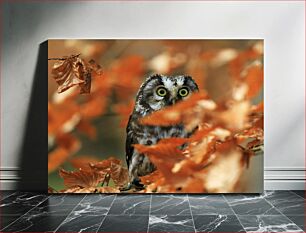 Πίνακας, Owl in Autumn Leaves Κουκουβάγια σε Φθινοπωρινά Φύλλα