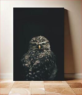 Πίνακας, Owl in Darkness Κουκουβάγια στο σκοτάδι