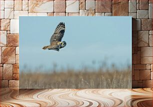 Πίνακας, Owl in Flight Κουκουβάγια σε πτήση