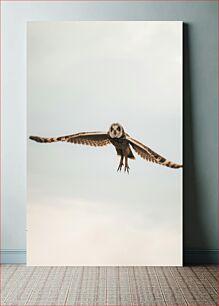 Πίνακας, Owl in Flight Κουκουβάγια σε πτήση