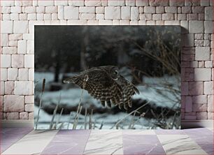 Πίνακας, Owl in Flight Over Snowy Landscape Κουκουβάγια σε πτήση πάνω από το χιονισμένο τοπίο