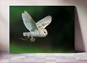 Πίνακας, Owl in Flight with Prey Κουκουβάγια σε πτήση με θήραμα
