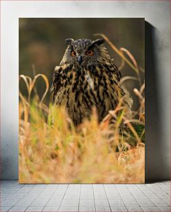 Πίνακας, Owl in Natural Habitat Κουκουβάγια σε φυσικό βιότοπο