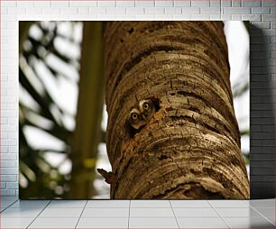 Πίνακας, Owl in Tree Trunk Κουκουβάγια σε κορμό δέντρου