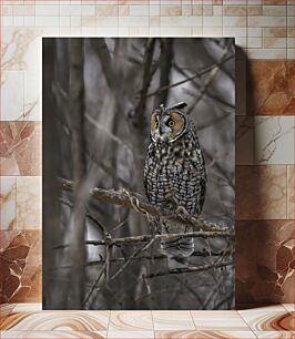 Πίνακας, Owl in Winter Forest Κουκουβάγια στο χειμερινό δάσος